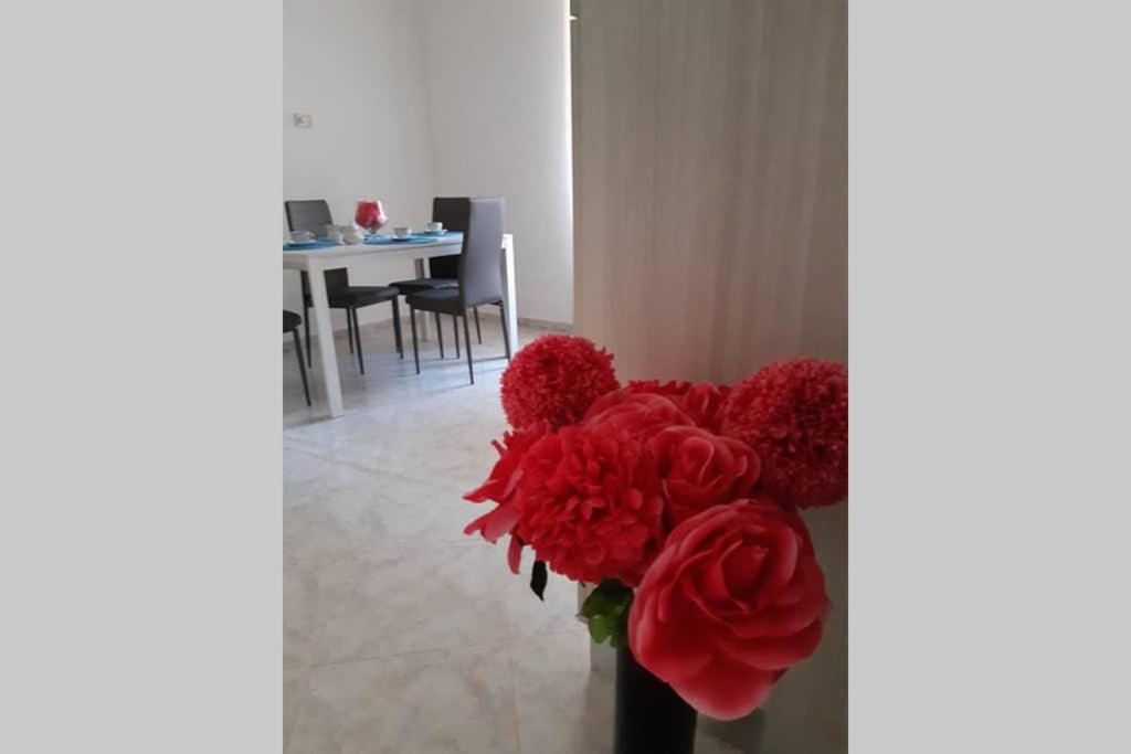 Stabia Vacanze 卡斯特拉玛雷帝斯达比亚 外观 照片